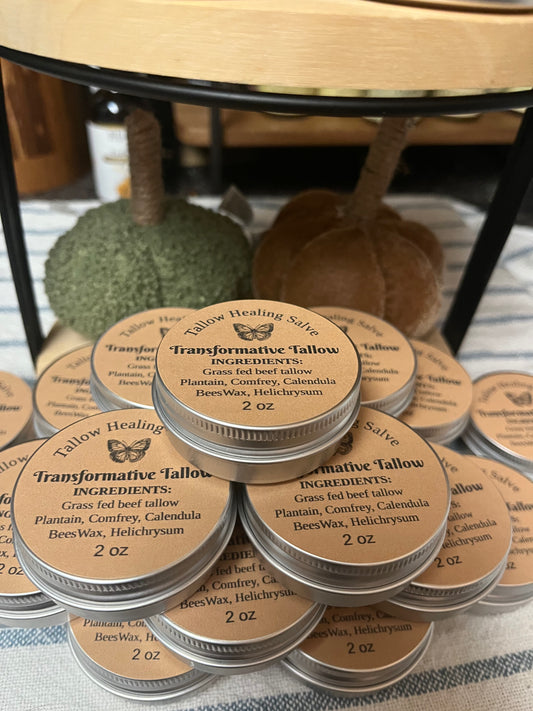 Tallow healing Salve